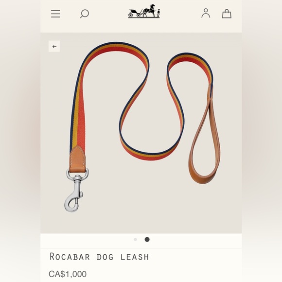 Hermes — dog collar & dog leash SET 🐶 🍊 - Picture 4 of 13